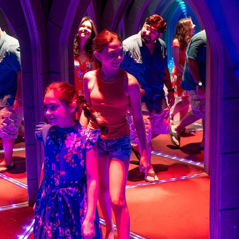 family inside mirror maze